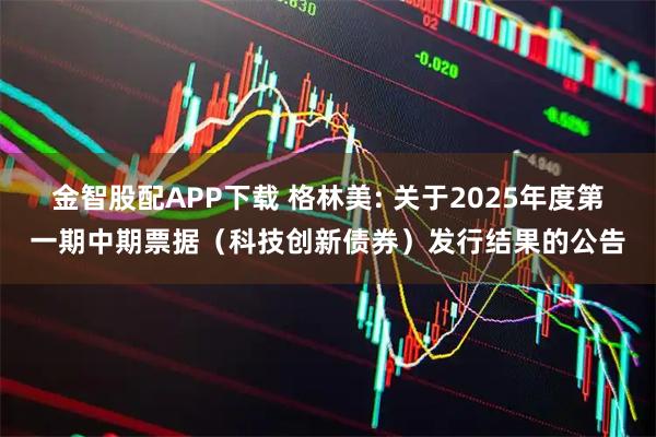 金智股配APP下载 格林美: 关于2025年度第一期中期票据（科技创新债券）发行结果的公告