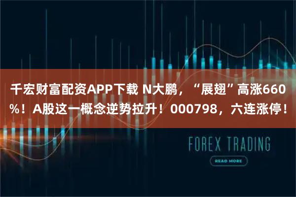 千宏财富配资APP下载 N大鹏,“展翅”高涨660%!A股这一概念逆势拉升!000798,六连涨停!