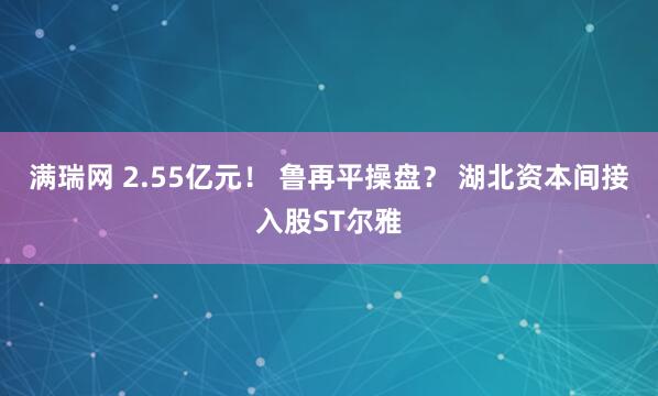 满瑞网 2.55亿元! 鲁再平操盘? 湖北资本间接入股ST尔雅